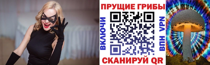 наркота  Новоаннинский  Галлюциногенные грибы мухоморы 