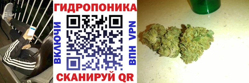 KRAKEN ONION  Новоаннинский  Марихуана ГИДРОПОН 